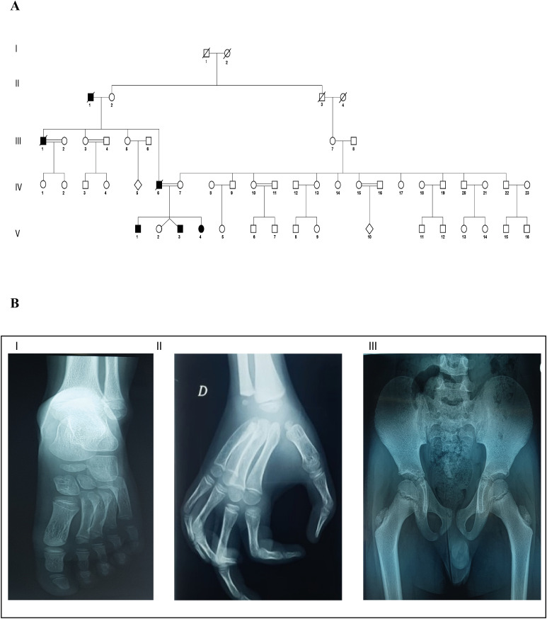 Figure 2