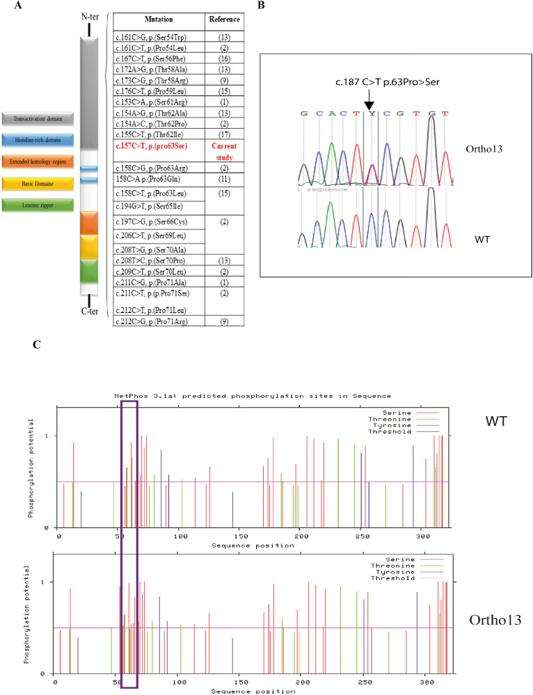 Figure 3