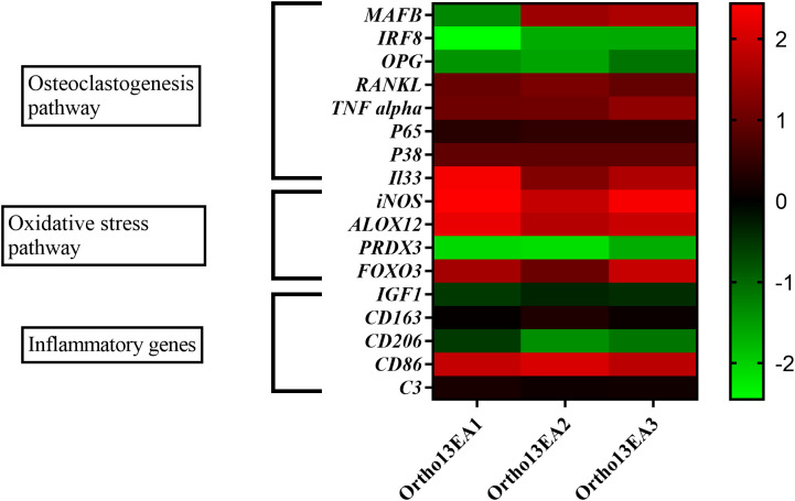 Figure 4