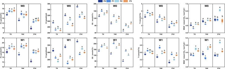Figure 6