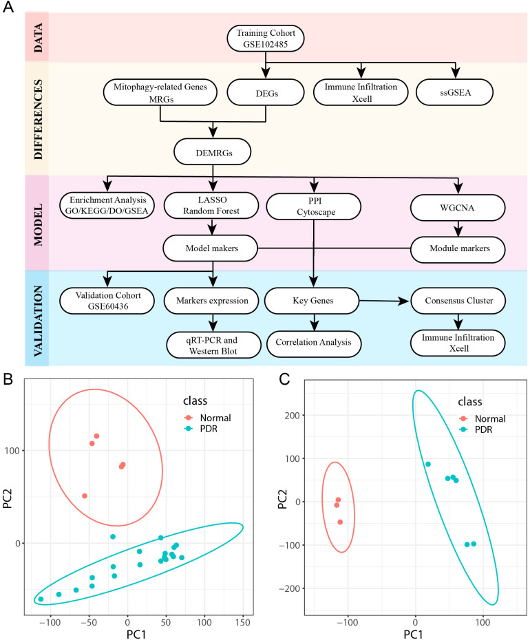 Figure 1