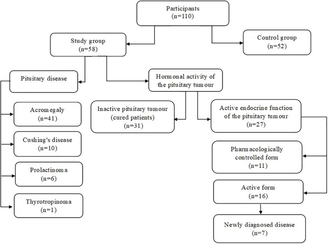 Figure 1