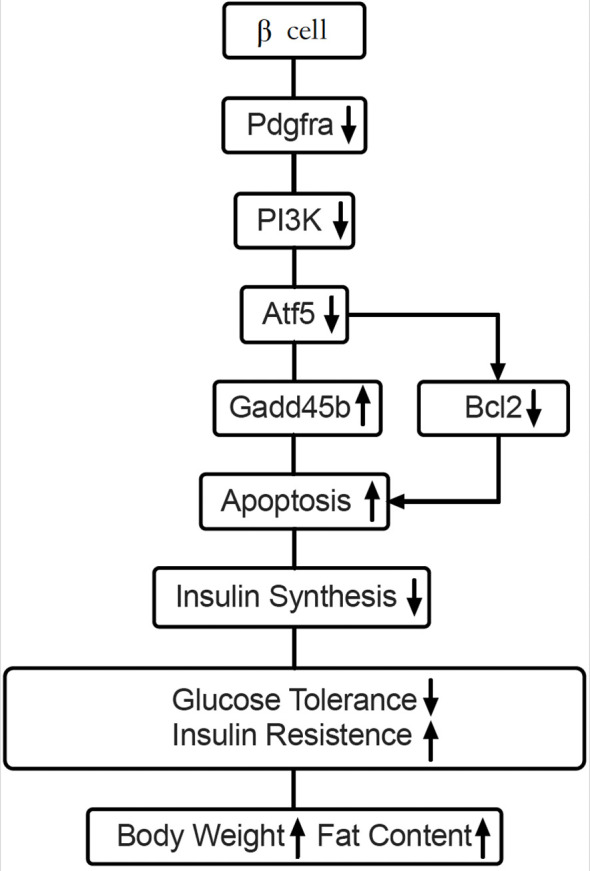Figure 7