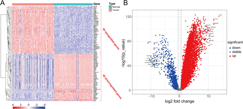 Figure 6