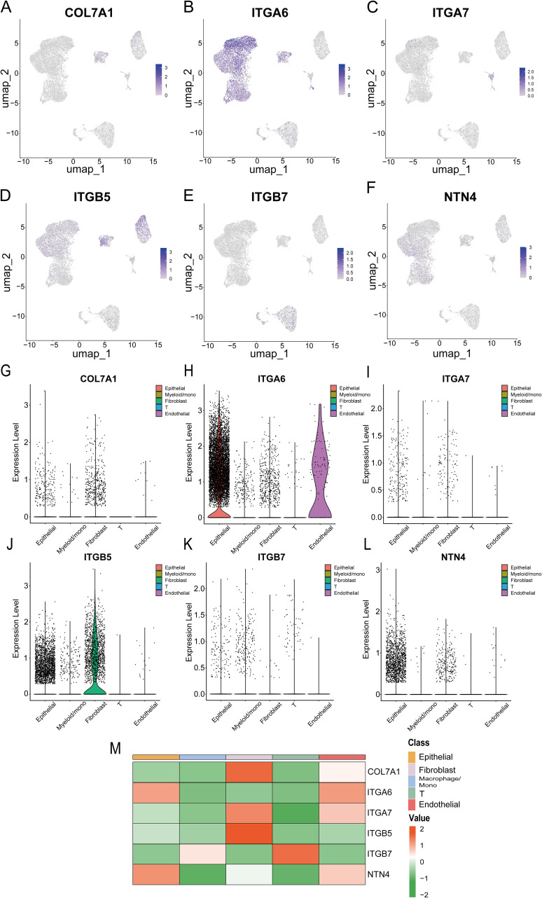 Figure 15