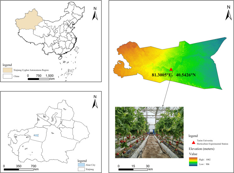 Figure 2