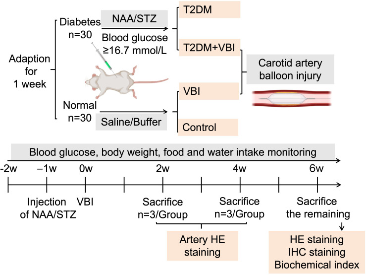 Figure 1