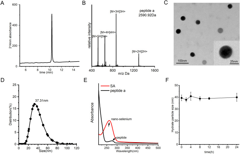 Figure 2