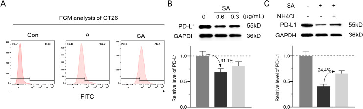 Figure 3