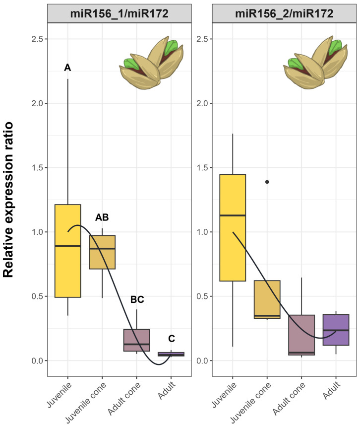 Figure 6
