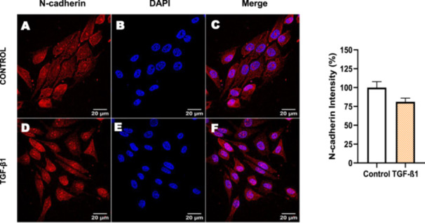 Figure 31