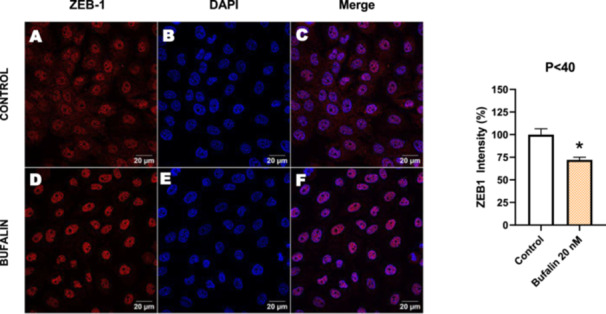 Figure 24