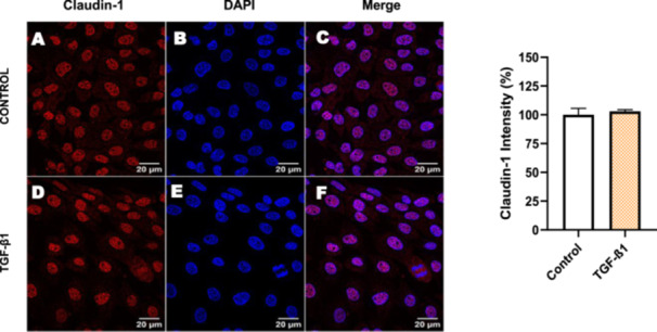 Figure 29