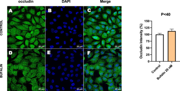 Figure 20