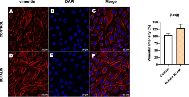 Figure 21