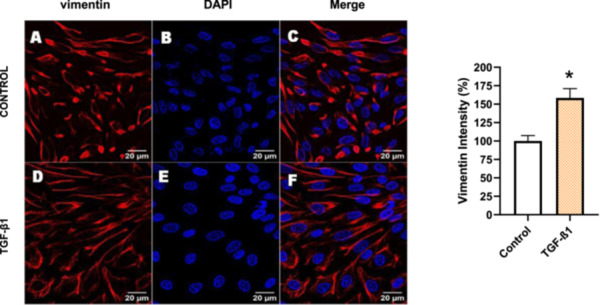 Figure 28