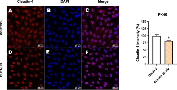 Figure 23