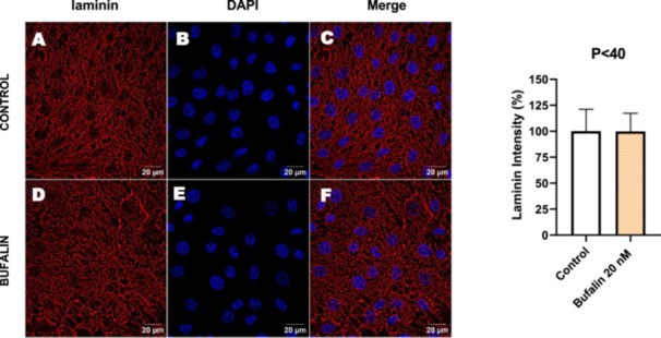 Figure 22