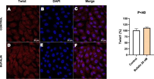 Figure 26