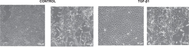 Figure 27