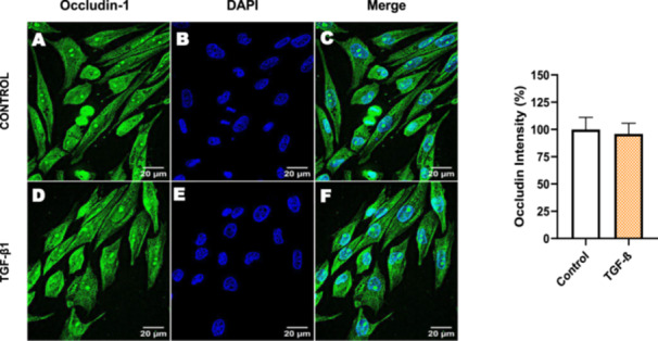 Figure 32