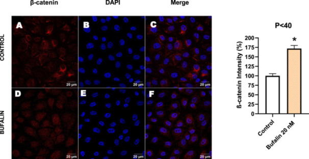 Figure 25