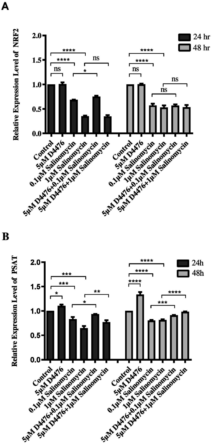Figure 6