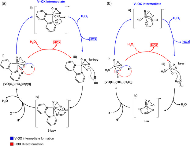 Scheme 2