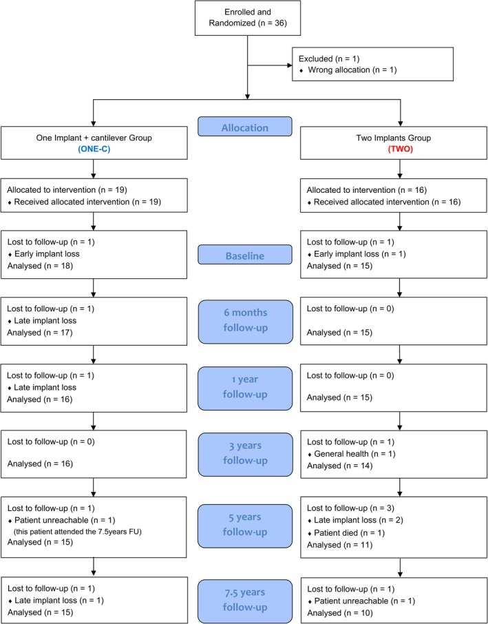 FIGURE 2