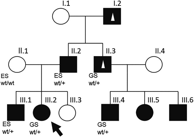 FIGURE 1