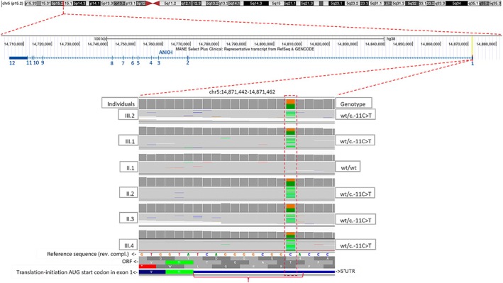 FIGURE 2