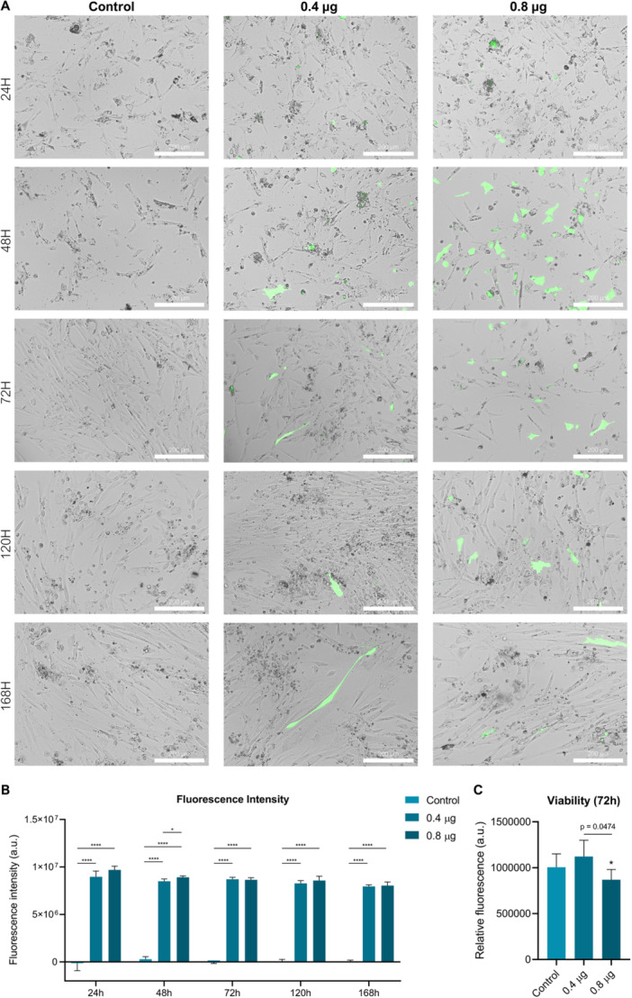 Figure 6