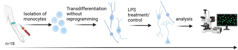 Figure 2