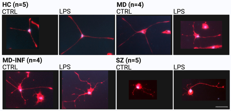 Figure 3