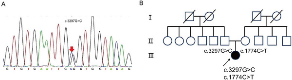 FIGURE 4