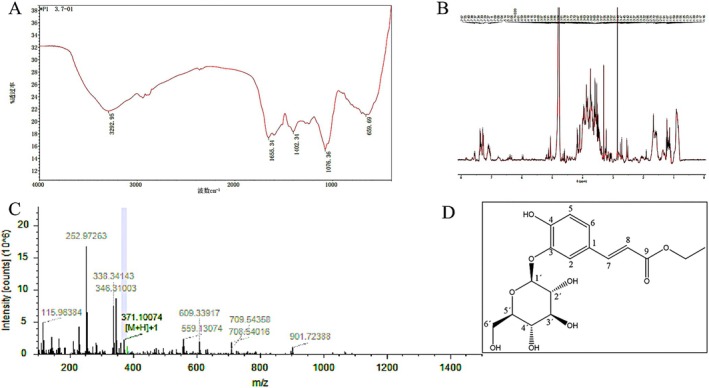 FIGURE 3