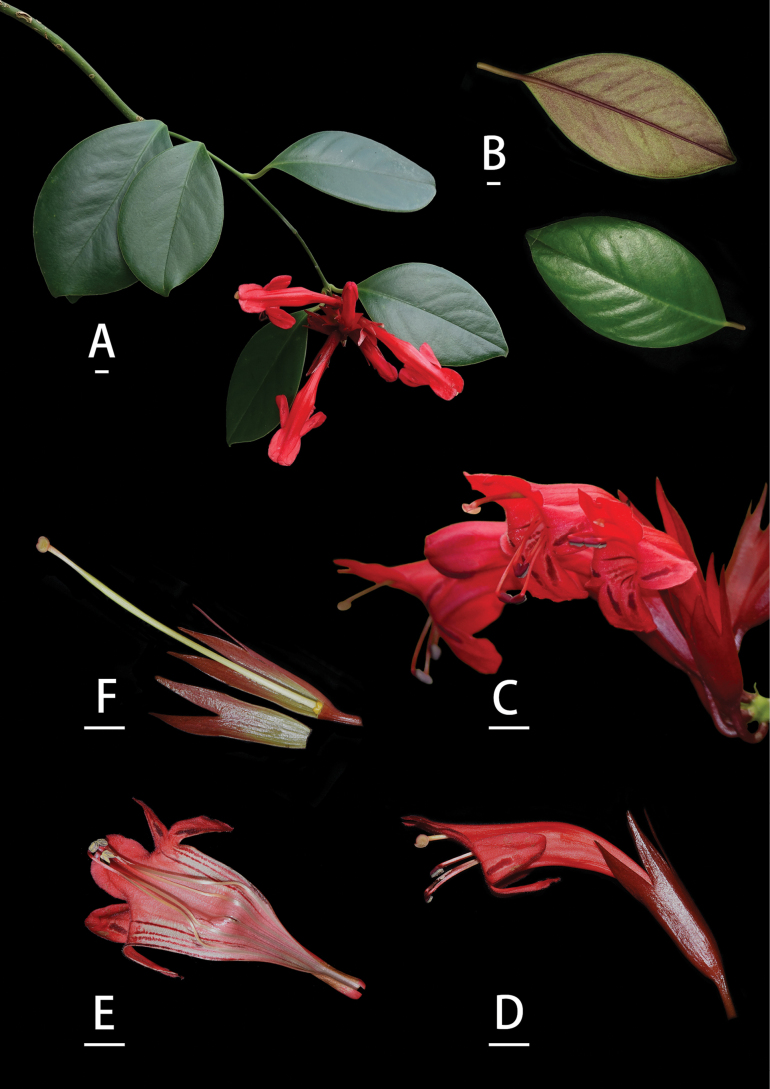 Figure 4
