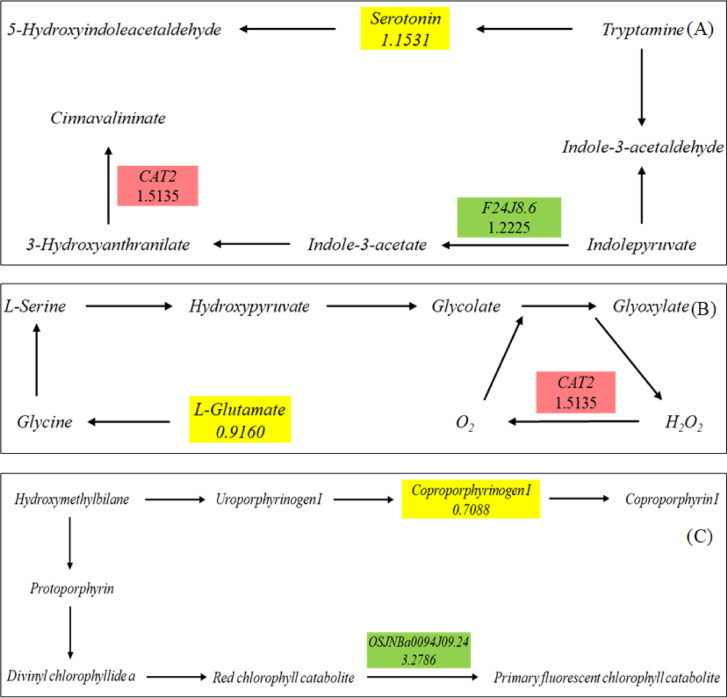 Figure 10