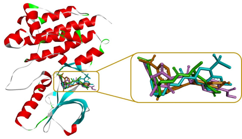 Figure 6