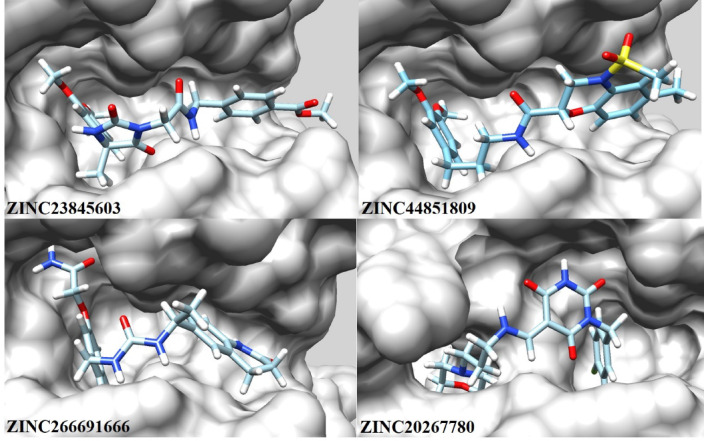 Figure 7