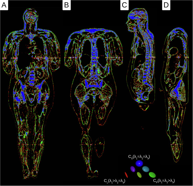 Figure 4
