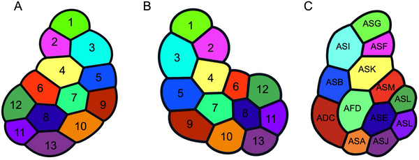 FIGURE 10