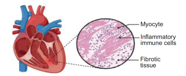 Figure 8