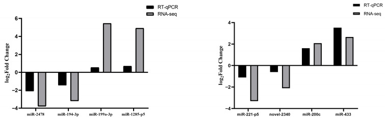 Figure 11