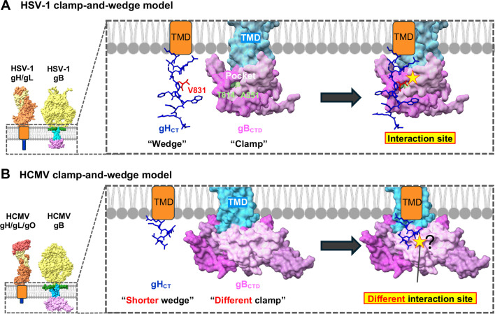 Fig 6