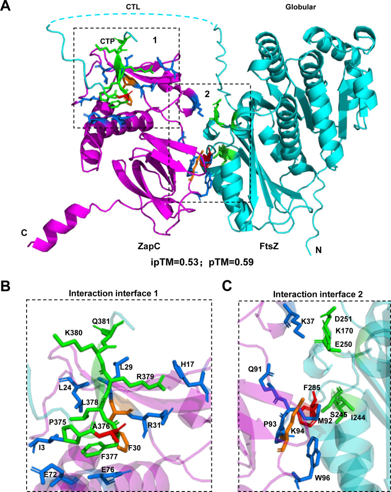 Fig 6