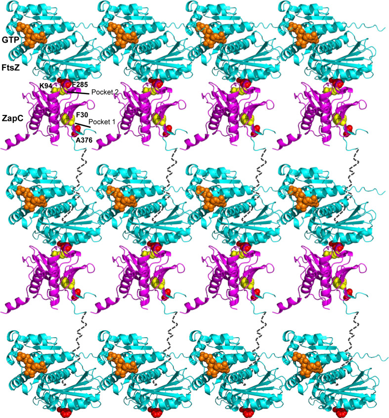 Fig 8