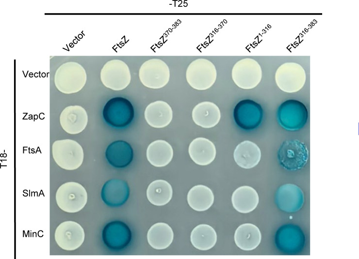 Fig 9
