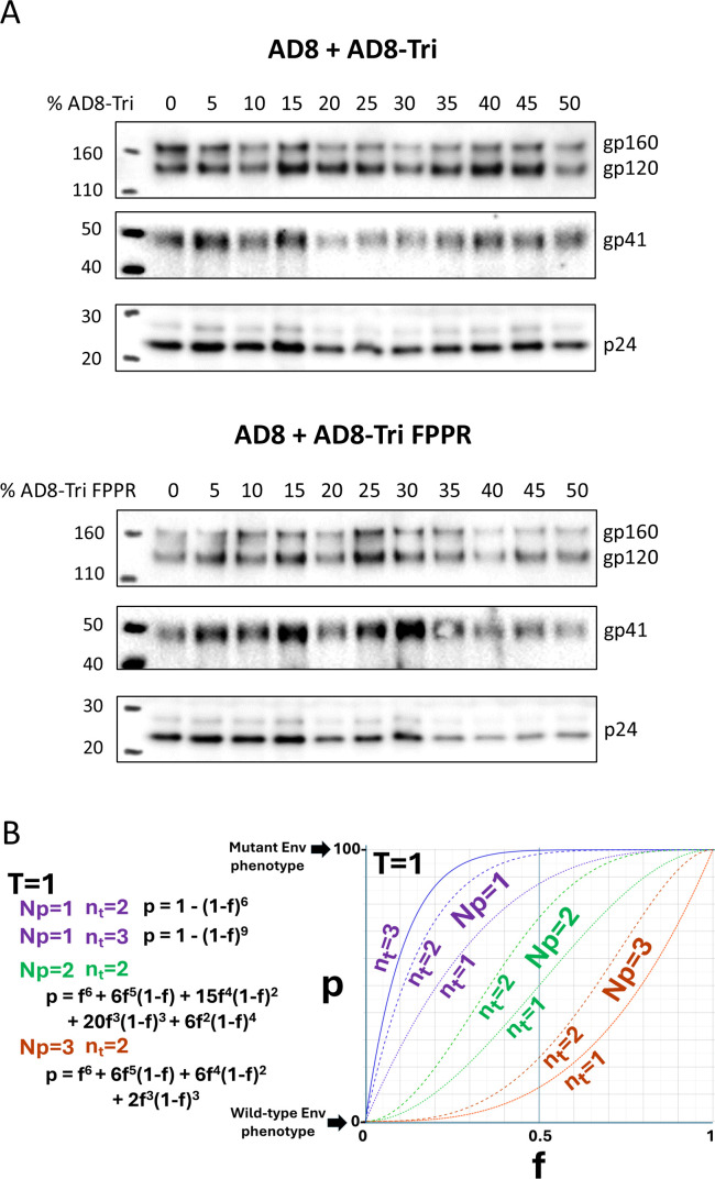 Fig 5