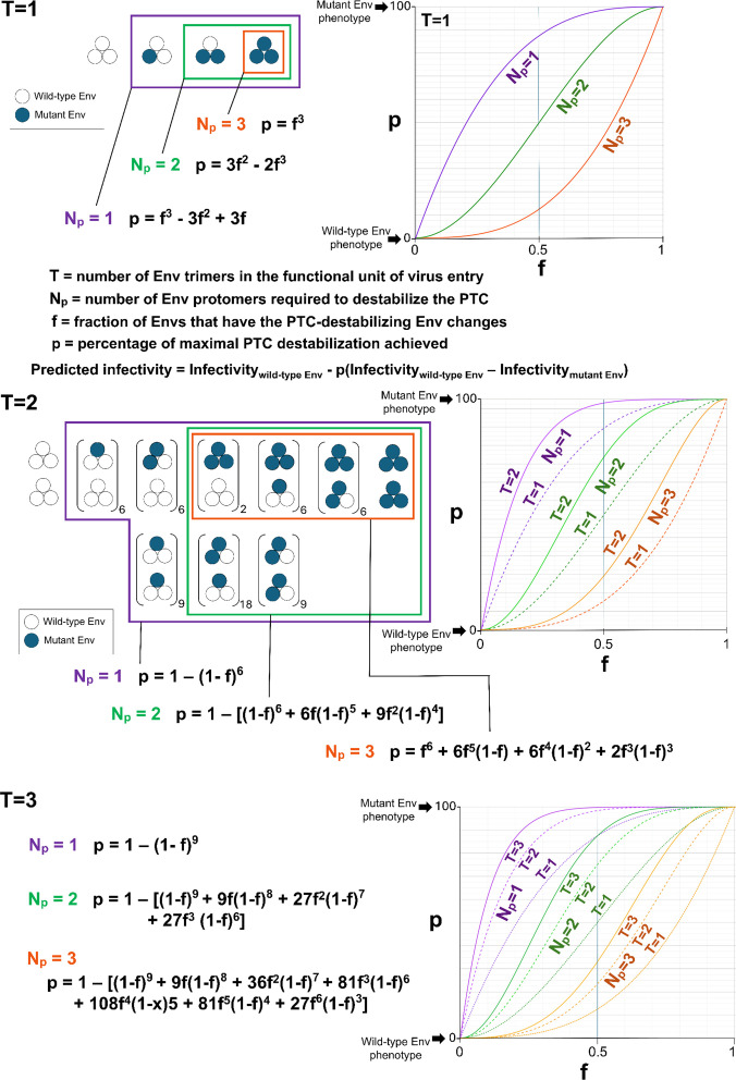 Fig 7